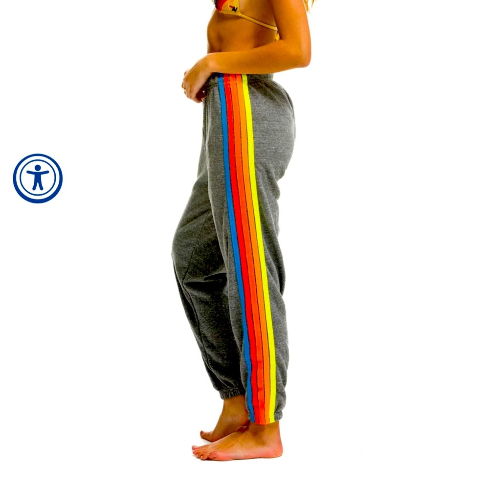 NWT Aviator Nation 5 Stripe Sweatpants